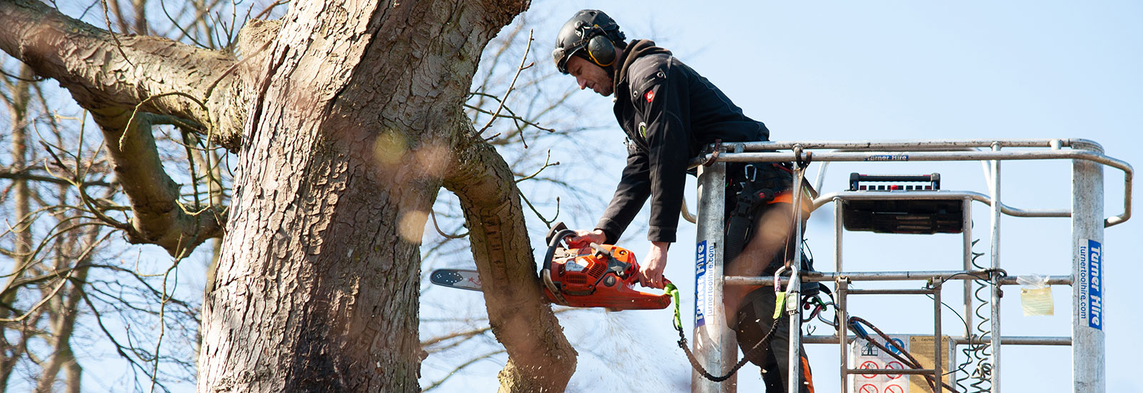 Tree Felling Services