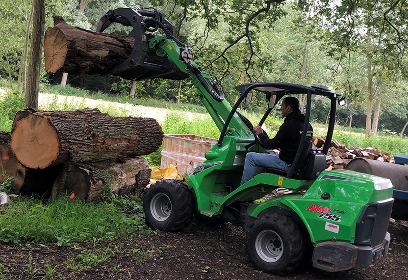 Tree Felling Colchester