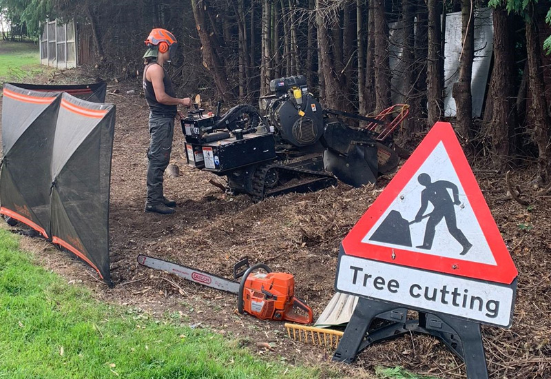 Tree Stump Grinding Essex